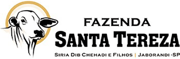 Fz-Santa-Tereza